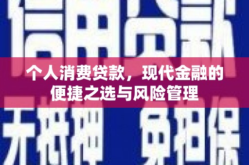 邓州个人消费贷款，现代金融的便捷之选与风险管理