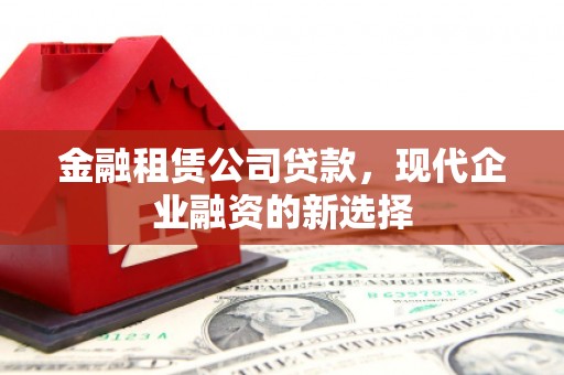 邓州金融租赁公司贷款，现代企业融资的新选择