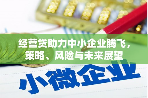 邓州经营贷助力中小企业腾飞，策略、风险与未来展望