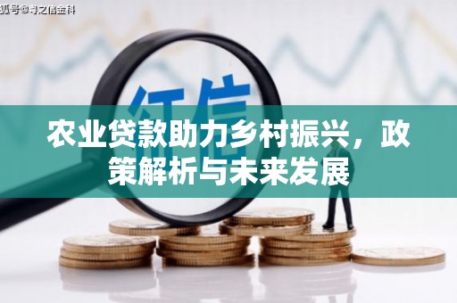 邓州农业贷款助力乡村振兴，政策解析与未来发展