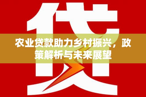 邓州农业贷款助力乡村振兴，政策解析与未来展望