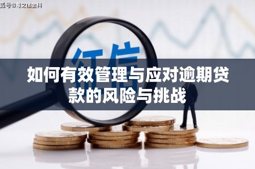 邓州如何有效管理与应对逾期贷款的风险与挑战