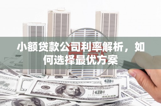 邓州小额贷款公司利率解析，如何选择最优方案