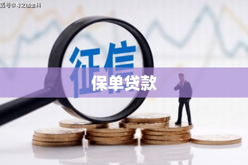 邓州保单贷款