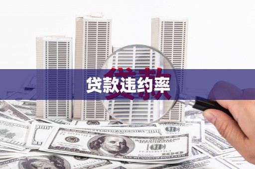 邓州贷款违约率