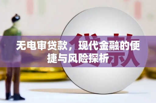 邓州无电审贷款，现代金融的便捷与风险探析