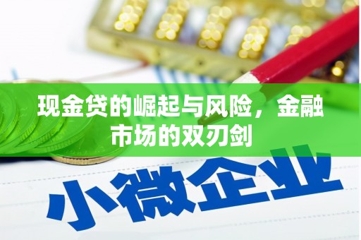 邓州现金贷的崛起与风险，金融市场的双刃剑