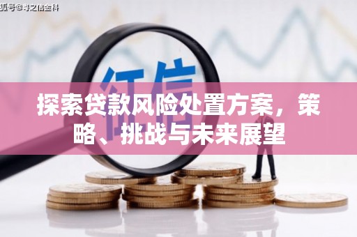 邓州探索贷款风险处置方案，策略、挑战与未来展望