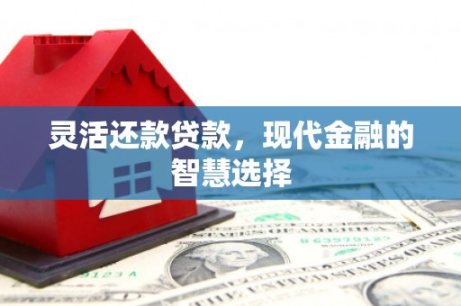 邓州灵活还款贷款，现代金融的智慧选择