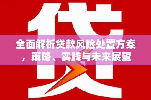 邓州全面解析贷款风险处置方案，策略、实践与未来展望