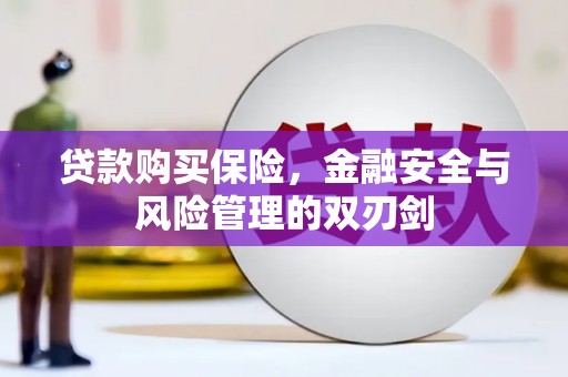 邓州贷款购买保险，金融安全与风险管理的双刃剑