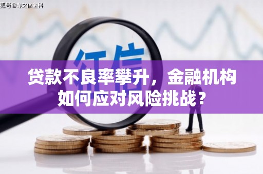 邓州贷款不良率攀升，金融机构如何应对风险挑战？