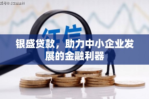 邓州银盛贷款，助力中小企业发展的金融利器