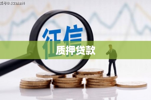 邓州质押贷款