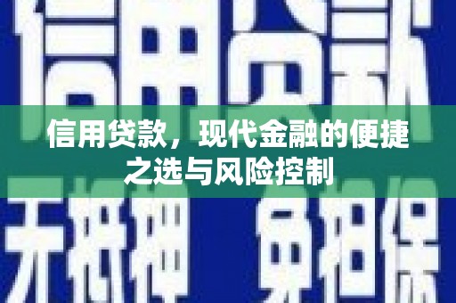 邓州信用贷款，现代金融的便捷之选与风险控制