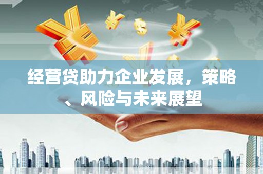邓州经营贷助力企业发展，策略、风险与未来展望