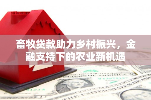 邓州畜牧贷款助力乡村振兴，金融支持下的农业新机遇