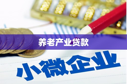 邓州养老产业贷款