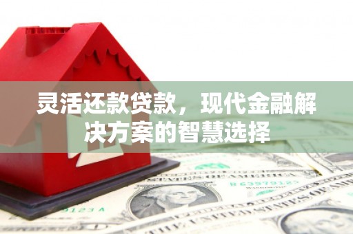 邓州灵活还款贷款，现代金融解决方案的智慧选择
