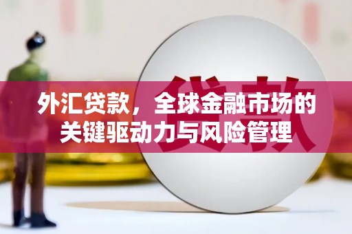 邓州外汇贷款，全球金融市场的关键驱动力与风险管理