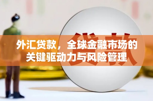 邓州外汇贷款，全球金融市场的关键驱动力与风险管理