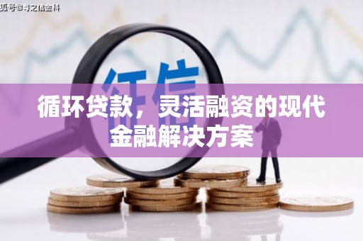 邓州循环贷款，灵活融资的现代金融解决方案