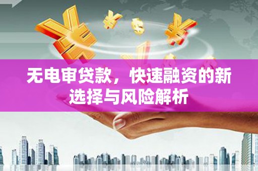 邓州无电审贷款，快速融资的新选择与风险解析