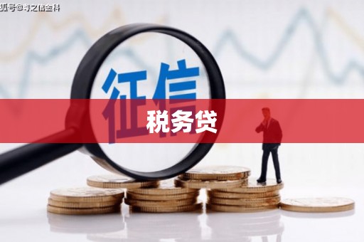 邓州税务贷