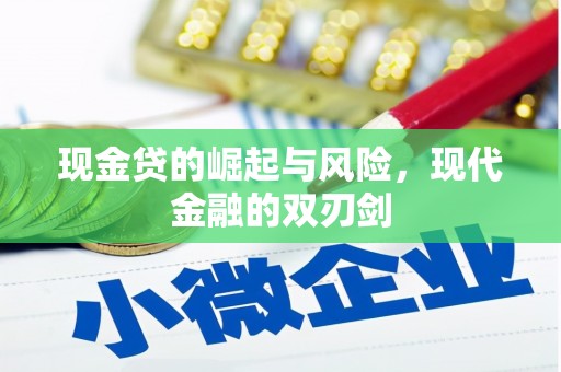 邓州现金贷的崛起与风险，现代金融的双刃剑