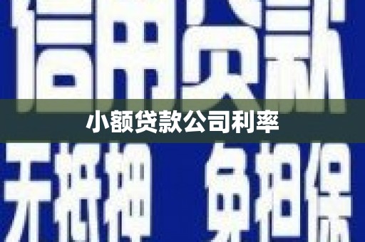 邓州小额贷款公司利率