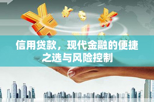 邓州信用贷款，现代金融的便捷之选与风险控制