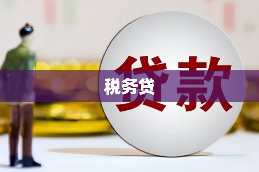 邓州税务贷