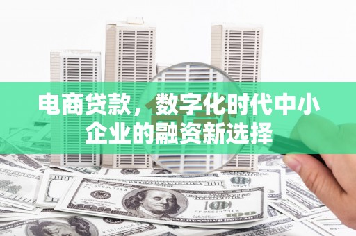 邓州电商贷款，数字化时代中小企业的融资新选择