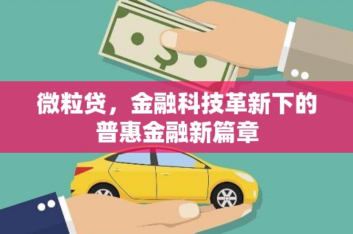邓州微粒贷，金融科技革新下的普惠金融新篇章