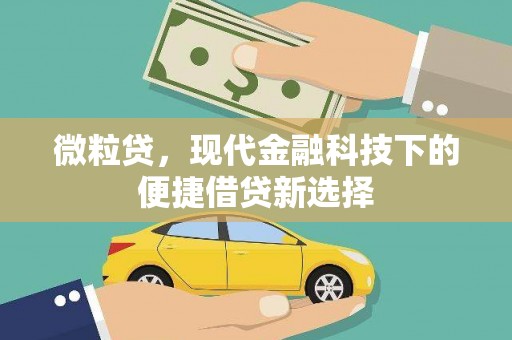 邓州微粒贷，现代金融科技下的便捷借贷新选择