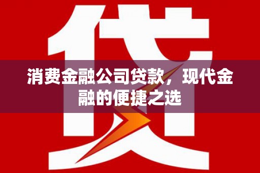 邓州消费金融公司贷款，现代金融的便捷之选