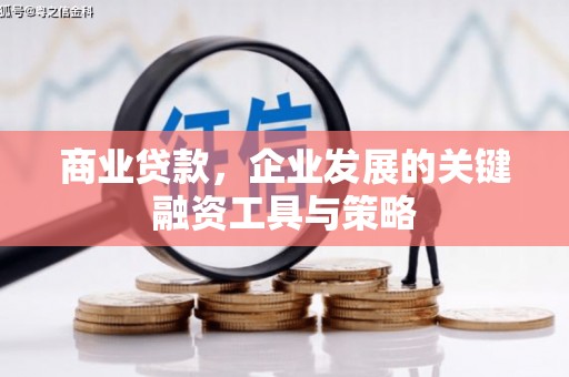 邓州商业贷款，企业发展的关键融资工具与策略