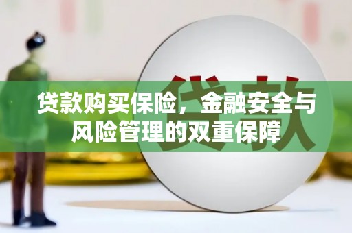 邓州贷款购买保险，金融安全与风险管理的双重保障