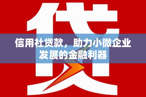邓州信用社贷款，助力小微企业发展的金融利器