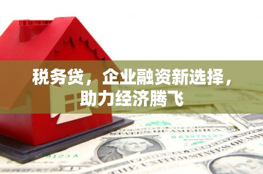 邓州税务贷，企业融资新选择，助力经济腾飞