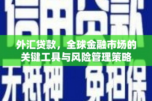 邓州外汇贷款，全球金融市场的关键工具与风险管理策略