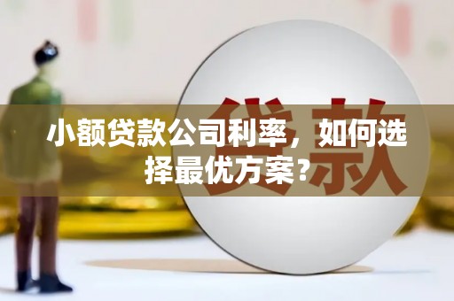 邓州小额贷款公司利率，如何选择最优方案？