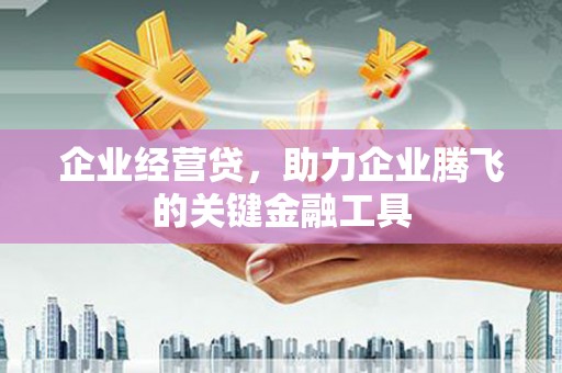 邓州企业经营贷，助力企业腾飞的关键金融工具