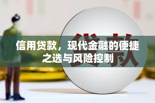 邓州信用贷款，现代金融的便捷之选与风险控制
