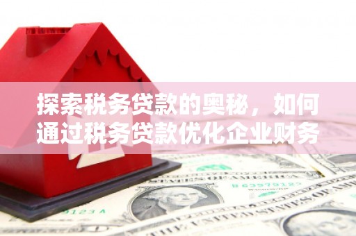 邓州探索税务贷款的奥秘，如何通过税务贷款优化企业财务