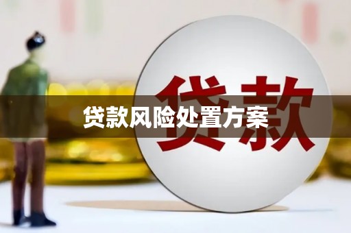 邓州贷款风险处置方案