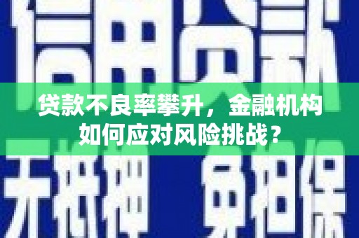 邓州贷款不良率攀升，金融机构如何应对风险挑战？