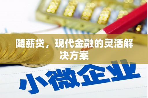 邓州随薪贷，现代金融的灵活解决方案