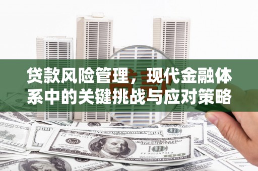 邓州贷款风险管理，现代金融体系中的关键挑战与应对策略