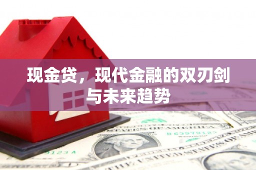 邓州现金贷，现代金融的双刃剑与未来趋势